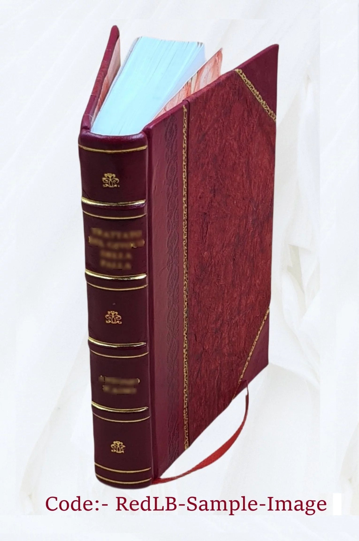 Two wilderness voyagers; a true tale of Indian life, by Franklin Welles Calkins. 1902 [Leather Bound]