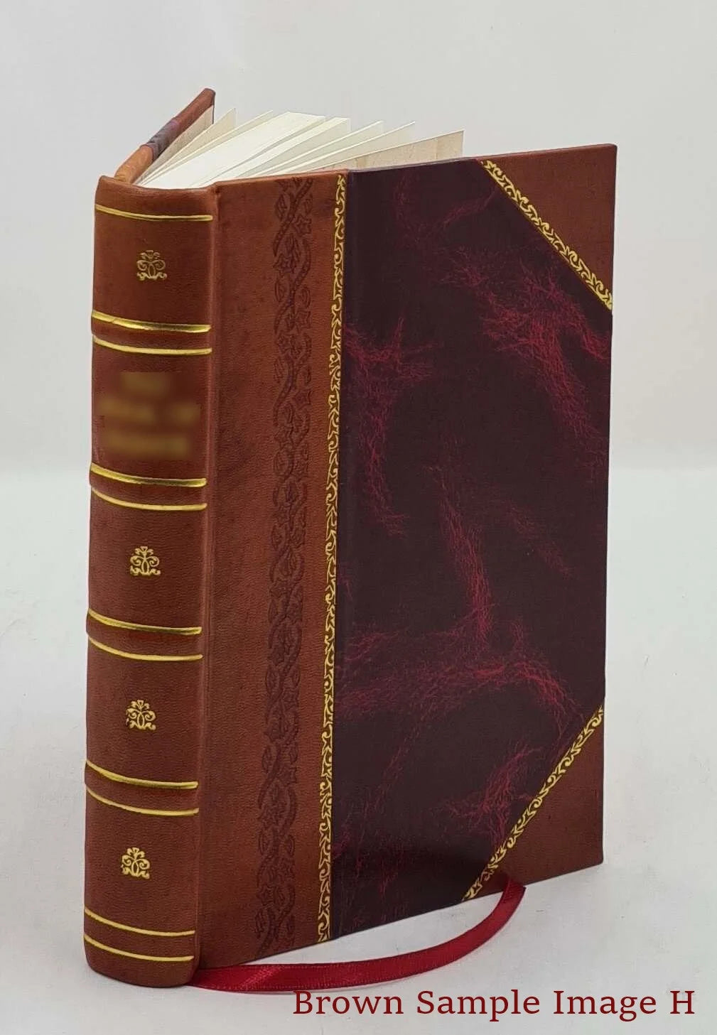 The god Juggernaut and Hinduism in India A study of their sacred books and more than 5,000 miles of travel in India 1914 [Leather Bound]
