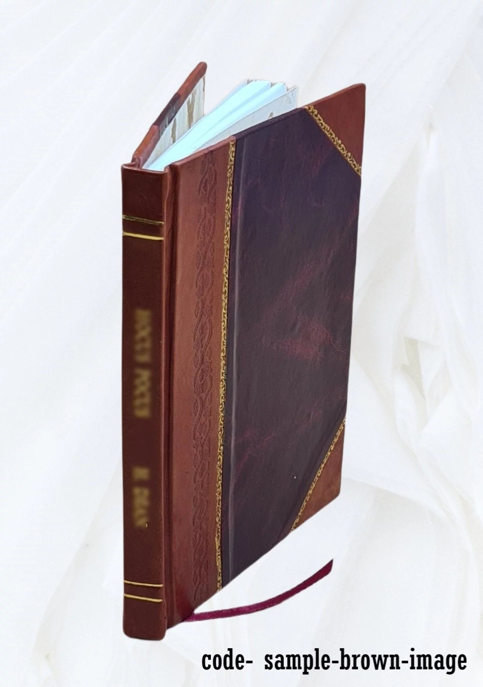 Notes of a professional exile / by E. S. Nadal. 1895 [Leather Bound]