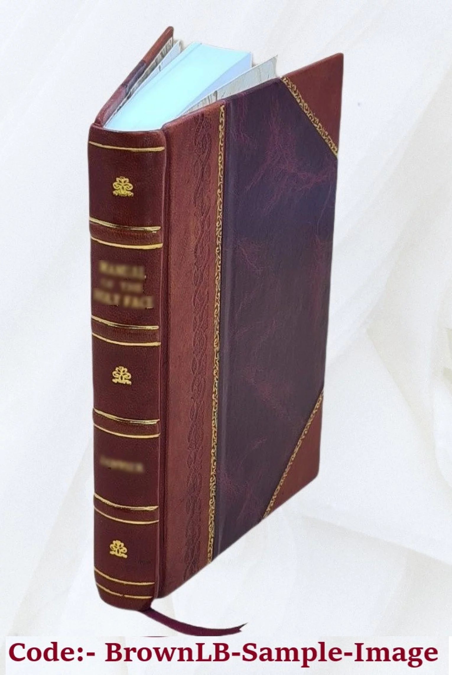Juggernaut: A Veiled Record 1903 [Leather Bound]