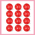 12-Pack Baseballs Practice Balls Softball Training Mini Ball